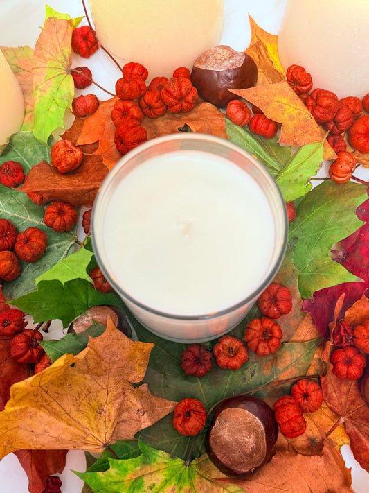 Pumpkin Spice 30cl candle
